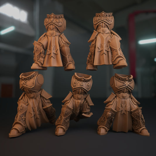 5-10x Templar Crusader Veteran Bodies