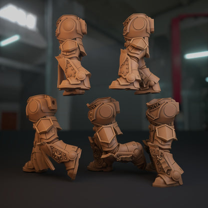 5-10x Templar Crusader Veteran Bodies